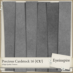 Precious Cardstock 16